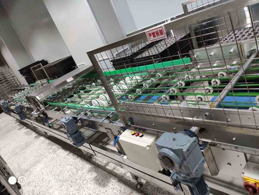ABB Motor 220V Cream Injeksi Lini Produksi Kue Otomatis