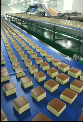 Servo Motor Curved Conveyor Sliced Sponge Cake Baking Equipment