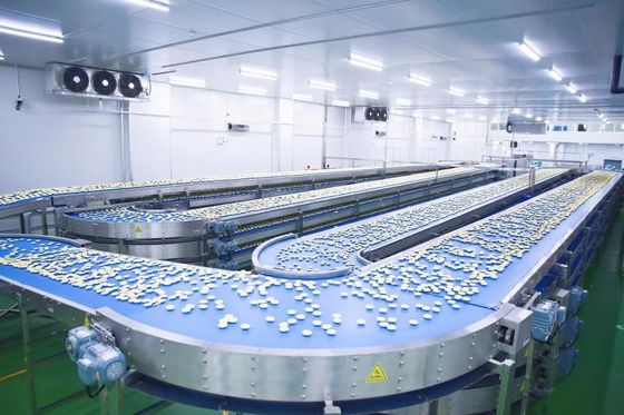 Konsumsi Daya Terendah Garis Produksi Roti Otomatis dengan Kapasitas Produksi Tinggi